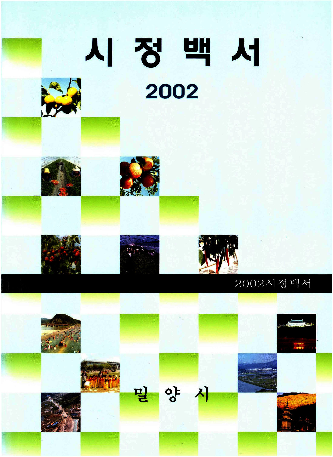 시정백서(2002년)